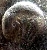 1789 Paris discharge mark