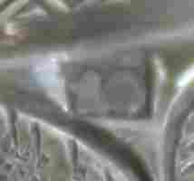 silver candlestick