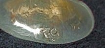 unidentified silver mark