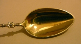silver spoon