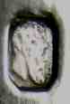 French silver sugar sifter