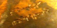 unidentified Oriental silver