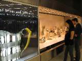 SFO Exhibition