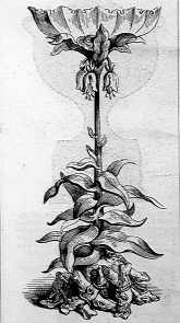 Elkington at the 1851 Great Exhibition: Fruit Dish