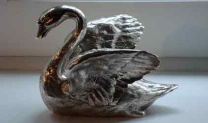 silver swan