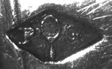 possibly  P. Genty mark