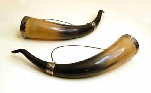 wine drinking horns