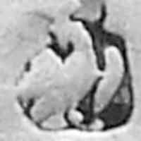 unidentified drageoir