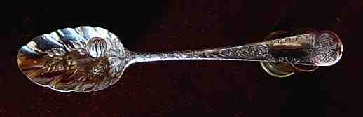 silver berry spoon