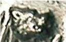 unidentified mark