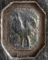 mark on silver spoon hallmarked Nizza 1803/1809