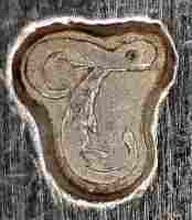 mark on silver spoon hallmarked Nizza 1803/1809