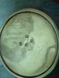 silver coffee pot hallmarks