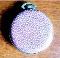 Swiss  watch case