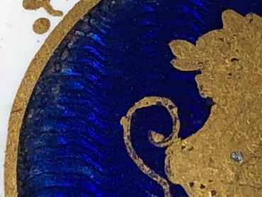 Silver button and close up of enamel guilloch