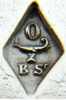 Odiot mark: 1906-1956