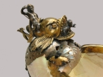 Nautilus cup