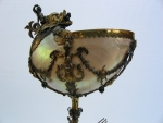 Nautilus cup