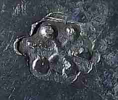 mark on a chalice with silver base and ivory cup