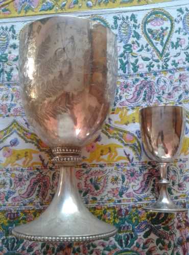 Government Challenge Cup for Mounted Volunteers Natal 1883