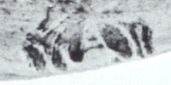 Catania silver mark: town mark