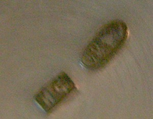 hallmarks