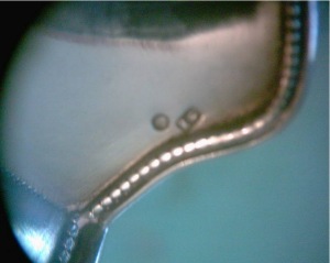 hallmarks