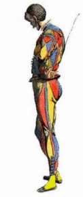 Arlecchino: Italian mask