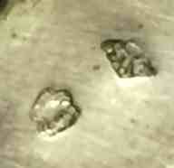 French silver bracelet