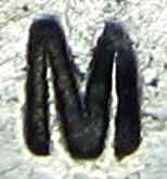 Plewkiewicz company mark ~1900 - ~1914